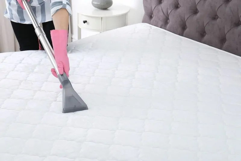 Disinfecting mattress bed bugs